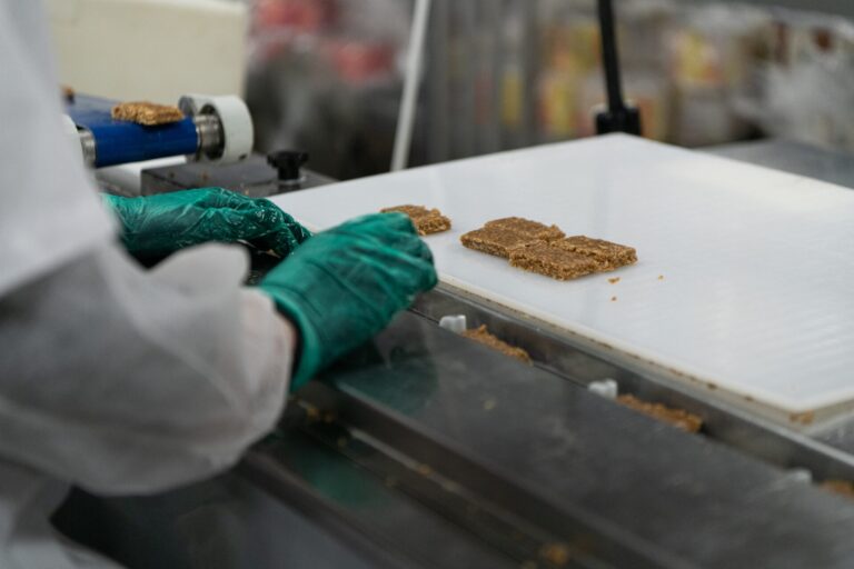 The Art of Food Product Development