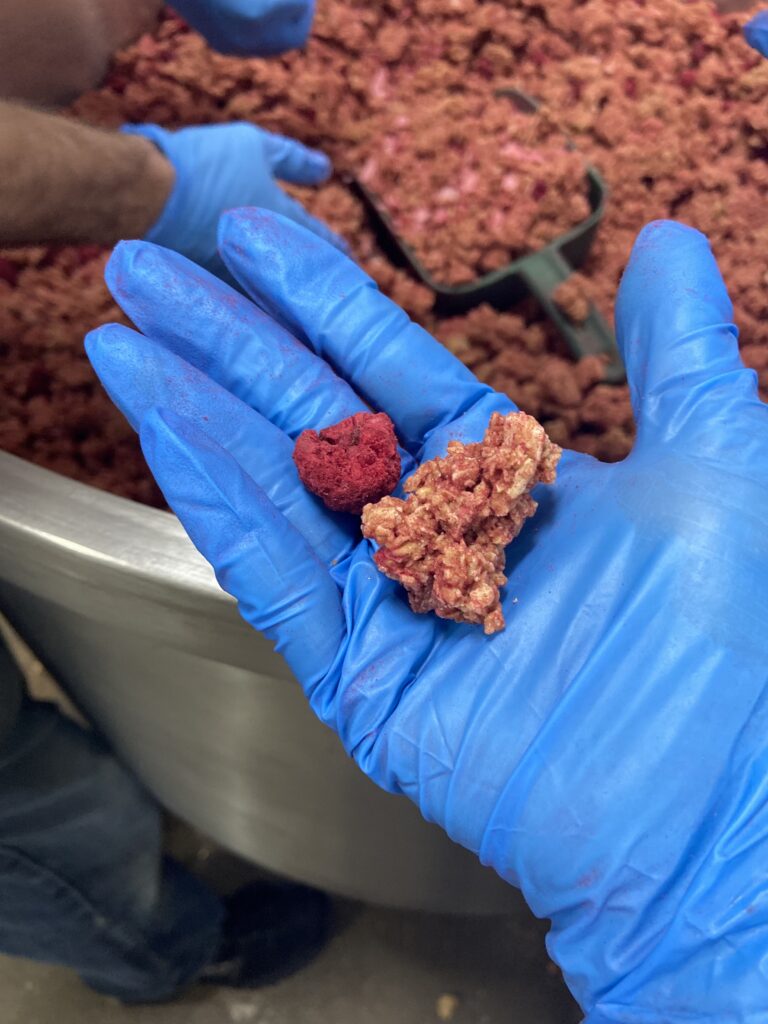 Gloved hands checking freshly mixed raspberry granola in a commercial mixer